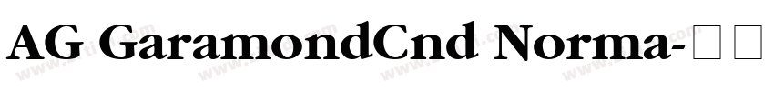 AG GaramondCnd Norma字体转换